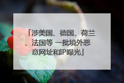 涉美国、德国、荷兰、法国等 一批境外恶意网址和IP曝光