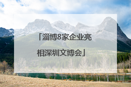 淄博8家企业亮相深圳文博会
