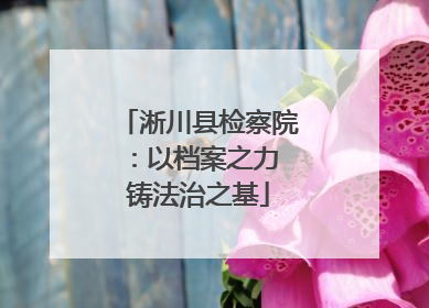 淅川县检察院：以档案之力 铸法治之基