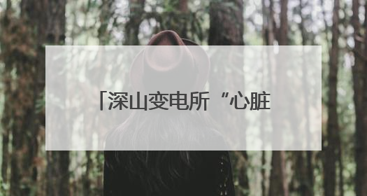 深山变电所“心脏守护者”：孤独守望护航旅客平安