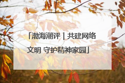 渤海潮评｜共建网络文明 守护精神家园