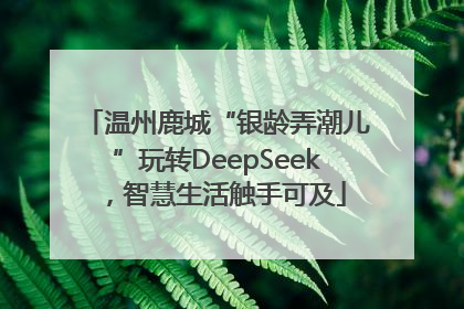 温州鹿城“银龄弄潮儿”玩转DeepSeek，智慧生活触手可及