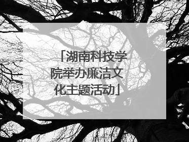 湖南科技学院举办廉洁文化主题活动