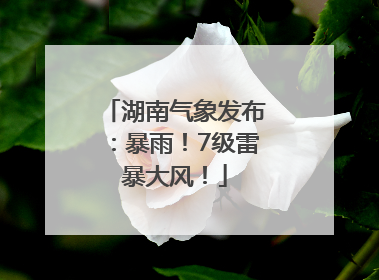 湖南气象发布：暴雨！7级雷暴大风！