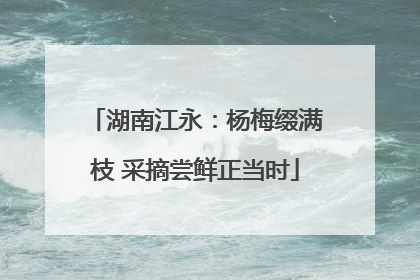 湖南江永：杨梅缀满枝 采摘尝鲜正当时