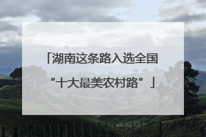湖南这条路入选全国“十大最美农村路”