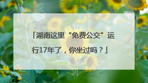 湖南这里“免费公交”运行17年了，你坐过吗？