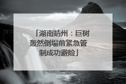 湖南靖州：巨树轰然倒塌前紧急管制成功避险