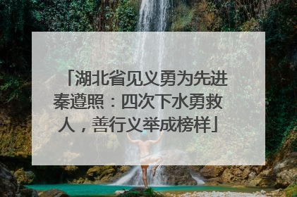 湖北省见义勇为先进秦遵照：四次下水勇救人，善行义举成榜样