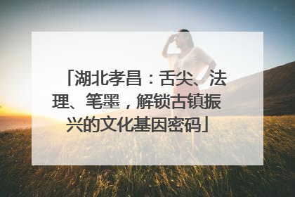 湖北孝昌：舌尖、法理、笔墨，解锁古镇振兴的文化基因密码
