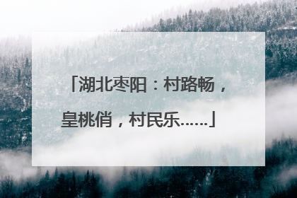 湖北枣阳：村路畅，皇桃俏，村民乐……