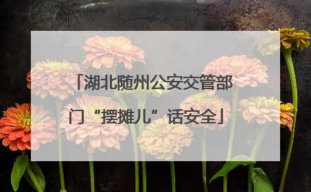 湖北随州公安交管部门“摆摊儿”话安全