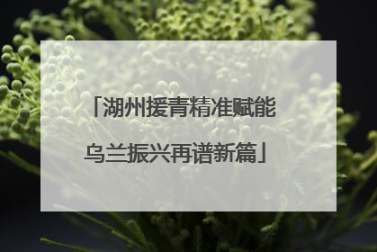 湖州援青精准赋能 乌兰振兴再谱新篇