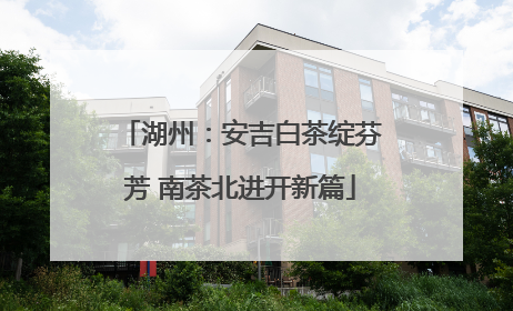湖州：安吉白茶绽芬芳 南茶北进开新篇