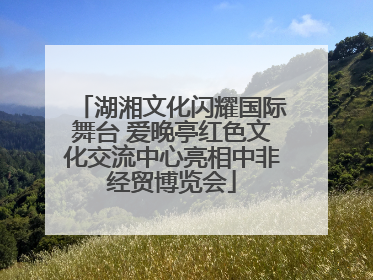 湖湘文化闪耀国际舞台 爱晚亭红色文化交流中心亮相中非经贸博览会