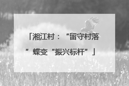 湘江村：“留守村落”蝶变“振兴标杆”