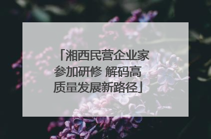 湘西民营企业家参加研修 解码高质量发展新路径