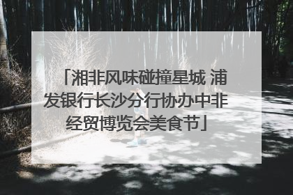 湘非风味碰撞星城 浦发银行长沙分行协办中非经贸博览会美食节