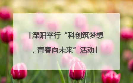 溧阳举行“科创筑梦想，青春向未来”活动