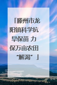 滕州市龙阳镇科学抗旱保苗 力保万亩农田“解渴”