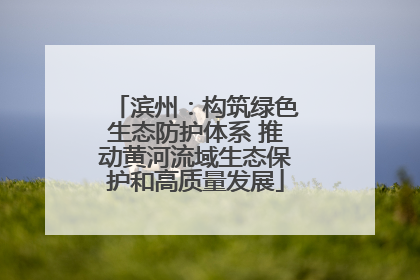 滨州：构筑绿色生态防护体系 推动黄河流域生态保护和高质量发展