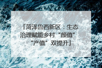 菏泽鲁西新区：生态治理赋能乡村“颜值”“产值”双提升
