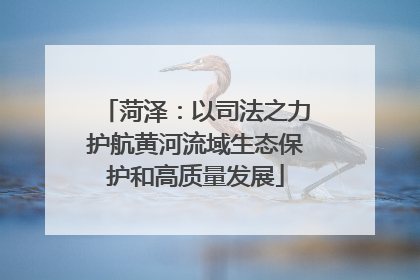 菏泽：以司法之力护航黄河流域生态保护和高质量发展