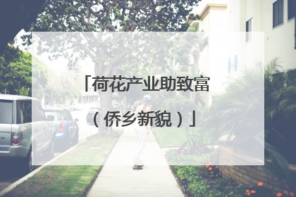 荷花产业助致富（侨乡新貌）