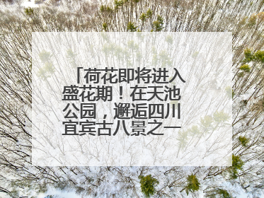 荷花即将进入盛花期！在天池公园，邂逅四川宜宾古八景之一“天池晚照”