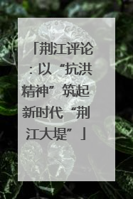 荆江评论：以“抗洪精神”筑起新时代“荆江大堤”