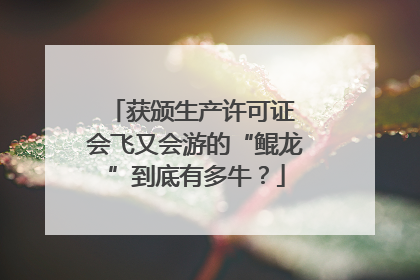 获颁生产许可证 会飞又会游的“鲲龙”到底有多牛？