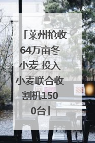 莱州抢收64万亩冬小麦 投入小麦联合收割机1500台