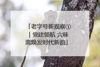 老字号新观察①｜党建领航 六味斋焕发时代新韵