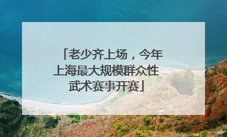 老少齐上场，今年上海最大规模群众性武术赛事开赛