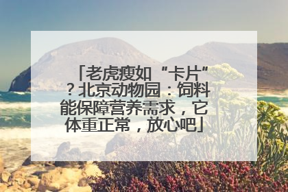 老虎瘦如“卡片”？北京动物园：饲料能保障营养需求，它体重正常，放心吧