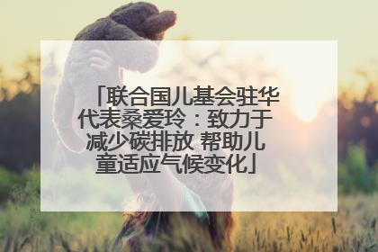 联合国儿基会驻华代表桑爱玲：致力于减少碳排放 帮助儿童适应气候变化