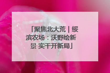 聚焦北大荒｜绥滨农场：沃野绘新景 实干开新局