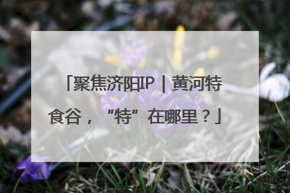 聚焦济阳IP｜黄河特食谷，“特”在哪里？