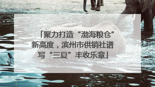 聚力打造“渤海粮仓”新高度，滨州市供销社谱写“三夏”丰收乐章
