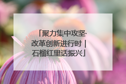 聚力集中攻坚·改革创新进行时｜石榴红里话振兴