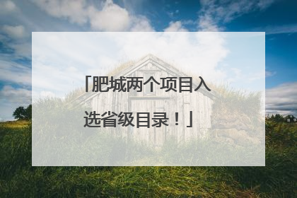 肥城两个项目入选省级目录！
