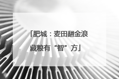 肥城：麦田翻金浪藏粮有“智”方