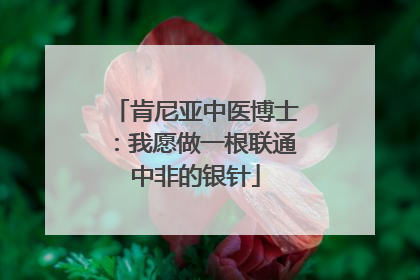 肯尼亚中医博士：我愿做一根联通中非的银针