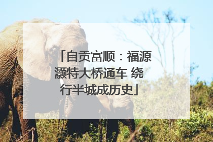 自贡富顺：福源灏特大桥通车 绕行半城成历史
