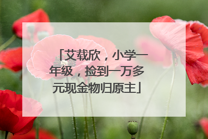 艾载欣，小学一年级，捡到一万多元现金物归原主