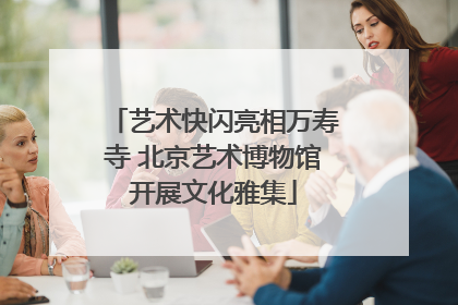 艺术快闪亮相万寿寺 北京艺术博物馆开展文化雅集