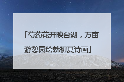 芍药花开映台湖，万亩游憩园绘就初夏诗画