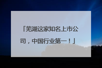 芜湖这家知名上市公司，中国行业第一！