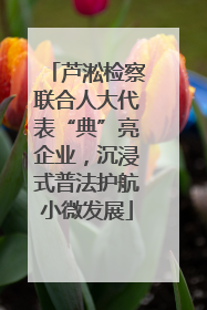 芦淞检察联合人大代表“典”亮企业，沉浸式普法护航小微发展