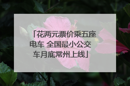 花两元票价乘五座电车 全国最小公交车月底常州上线